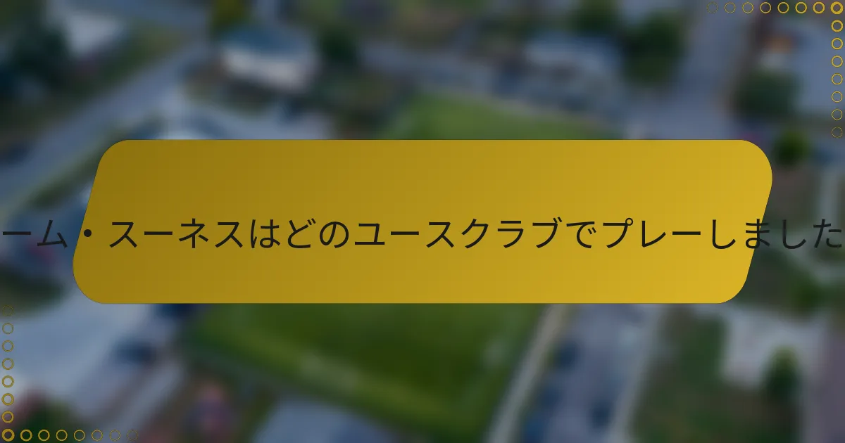 グレーム・スーネスはどのユースクラブでプレーしましたか？